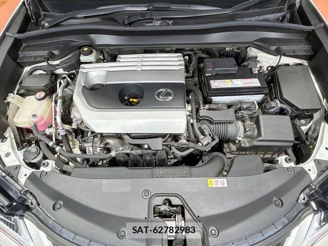 Lexus UX 2019-04 8230664-17