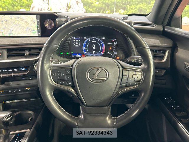 Lexus UX 2019-02 8315239-10