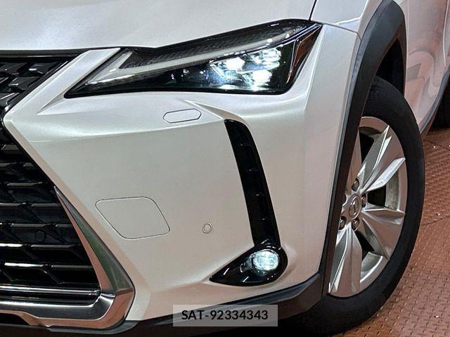 Lexus UX 2019-02 8315239-11
