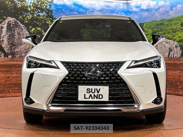 Lexus UX 2019-02 8315239-13