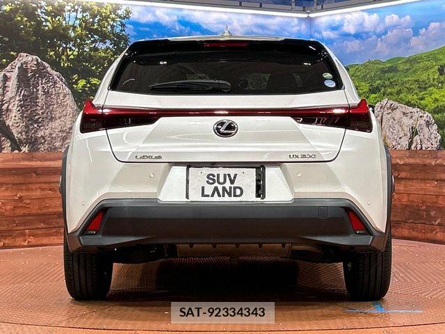 Lexus UX 2019-02 8315239-14