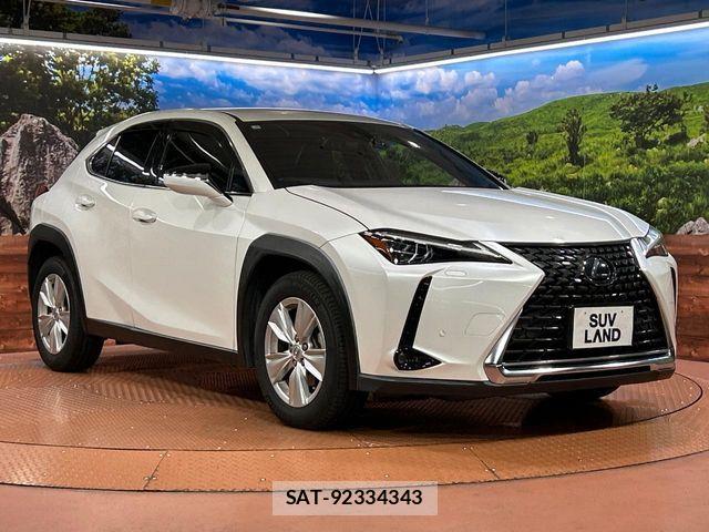 Lexus UX 2019-02 8315239-15