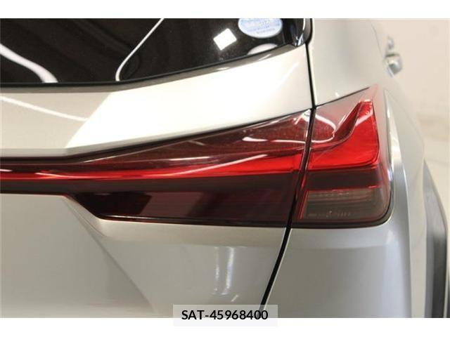 Lexus UX 2019-02 8366795-18