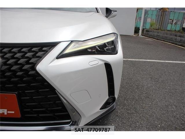 Lexus UX 2019-09 8413346-17