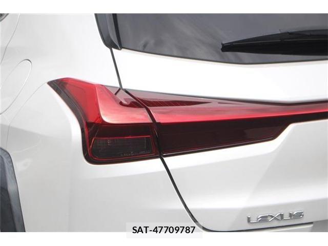 Lexus UX 2019-09 8413346-19
