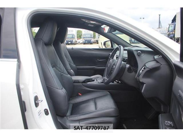 Lexus UX 2019-09 8413346-28