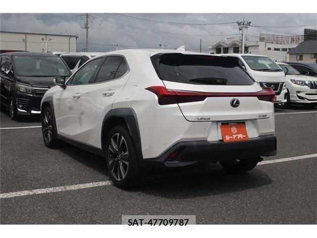 Lexus UX 2019-09 8413346-5