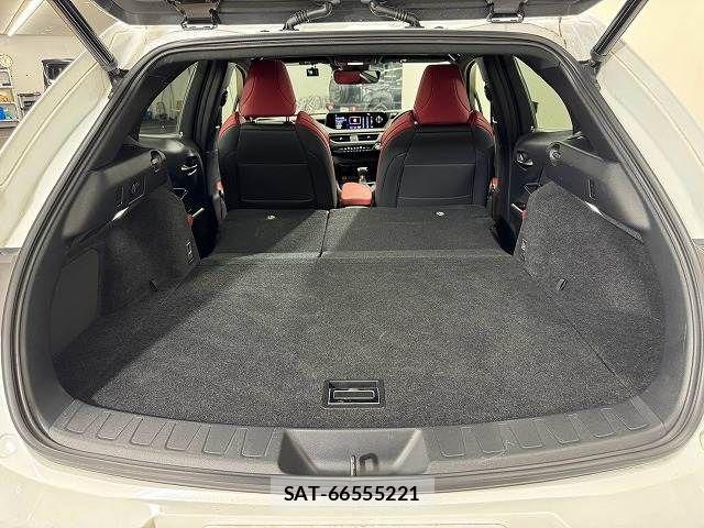 Lexus UX 2019-06 8485655-12