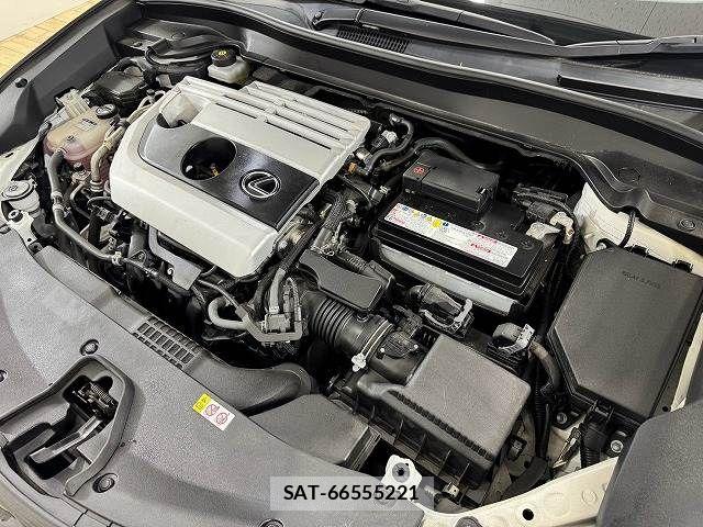 Lexus UX 2019-06 8485655-17