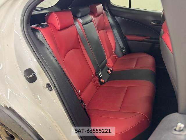 Lexus UX 2019-06 8485655-5