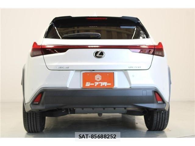 Lexus UX 2020-10 8485654-10