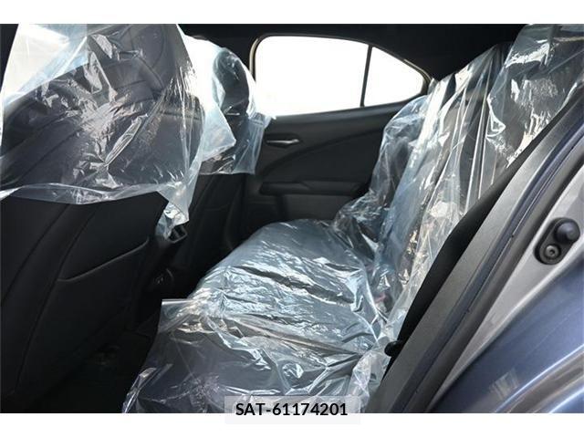 Lexus UX 2020-08 8562498-13