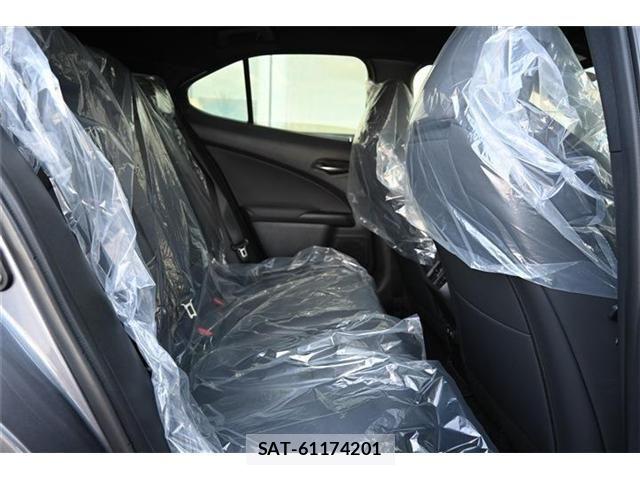 Lexus UX 2020-08 8562498-14