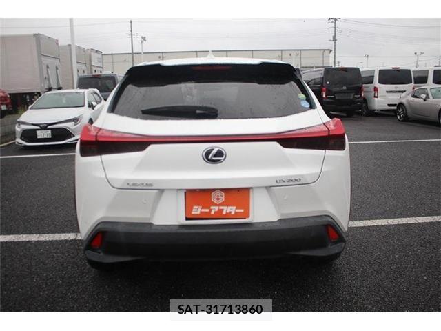 Lexus UX 2019-06 8660022-9