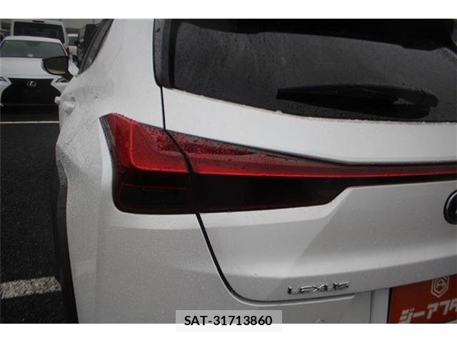 Lexus UX 2019-06 8660022-14