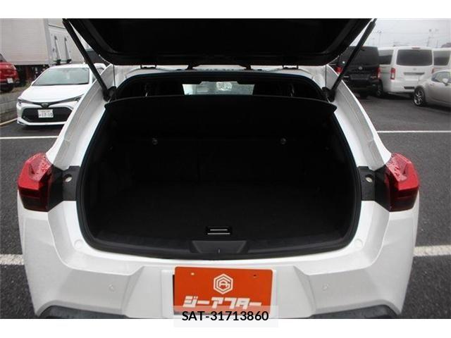Lexus UX 2019-06 8660022-26