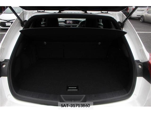 Lexus UX 2019-06 8660022-27