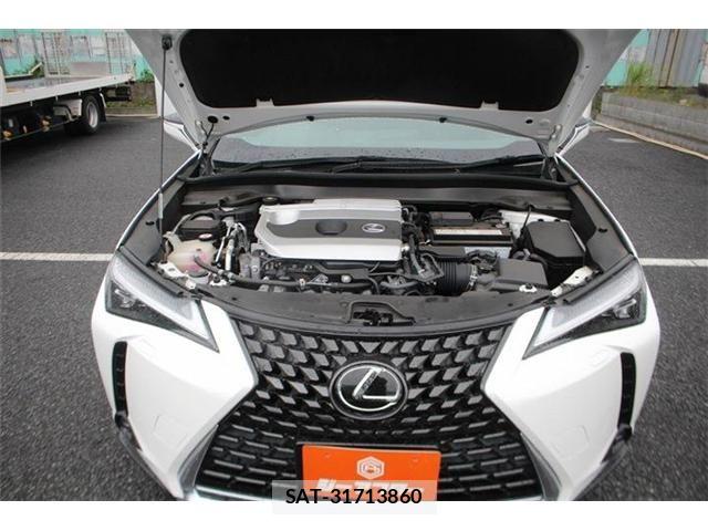 Lexus UX 2019-06 8660022-28