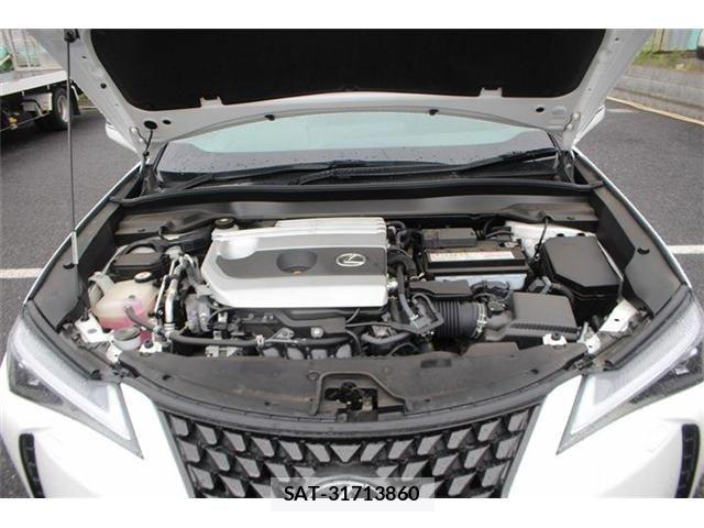 Lexus UX 2019-06 8660022-29
