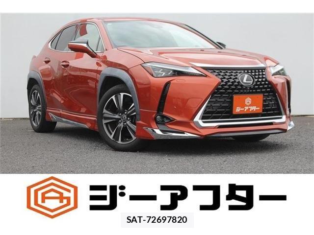 sat car