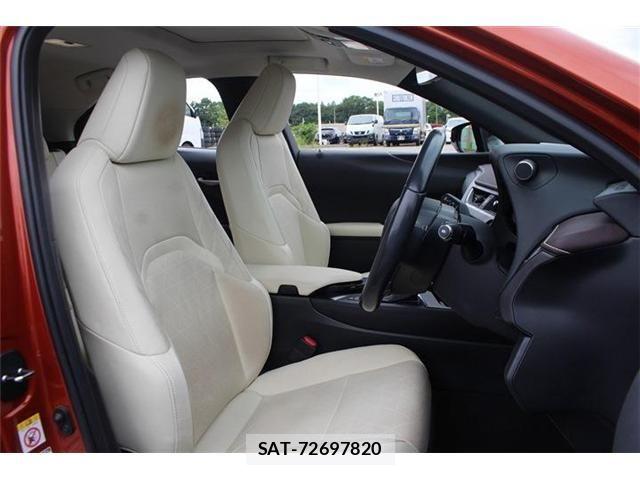 Lexus UX 2018-11 8666431-19