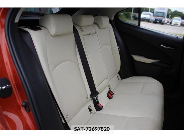 Lexus UX 2018-11 8666431-20