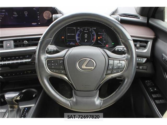 Lexus UX 2018-11 8666431-22