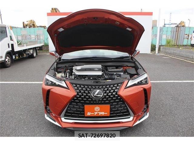 Lexus UX 2018-11 8666431-29