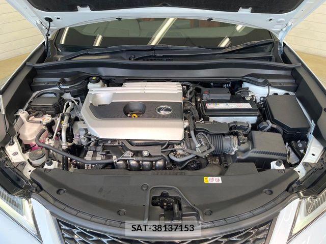 Lexus UX 2021-09 8685872-13