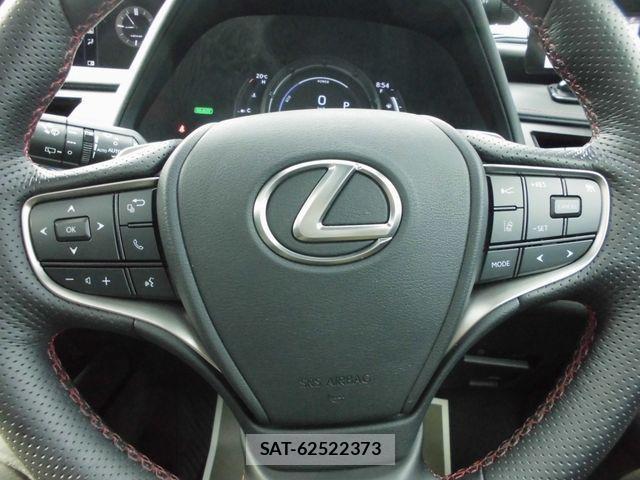 Lexus UX 2020-12 514587-14