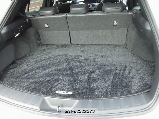Lexus UX 2020-12 514587-21