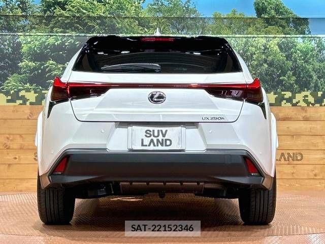 Lexus UX 2022-09 915971-15