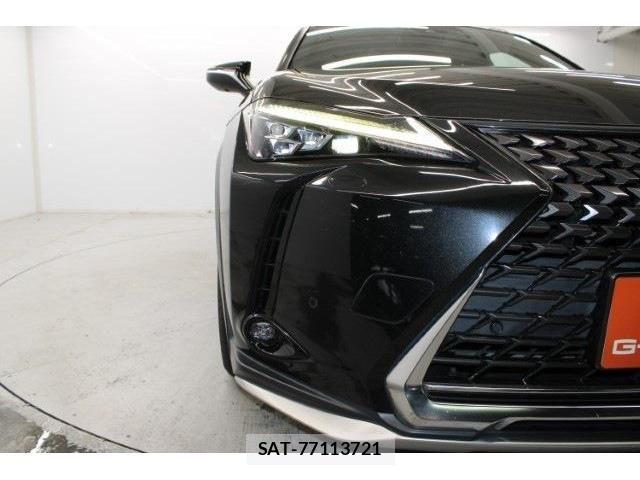 Lexus UX 2018-11 1228589-10