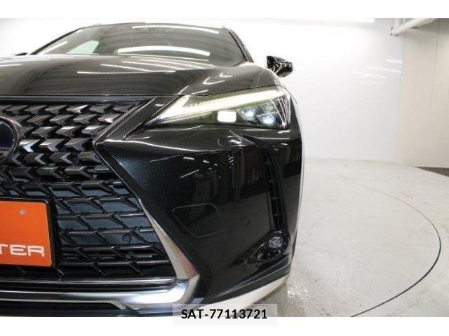 Lexus UX 2018-11 1228589-13