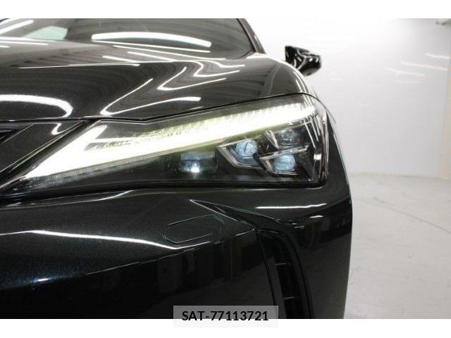 Lexus UX 2018-11 1228589-14