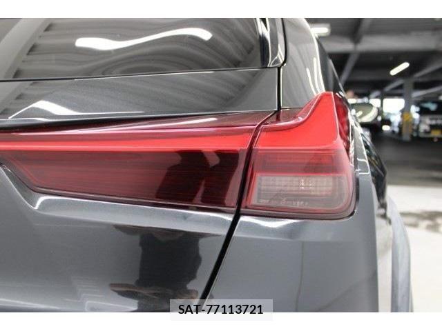 Lexus UX 2018-11 1228589-18