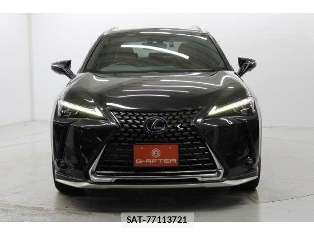 Lexus UX 2018-11 1228589-1