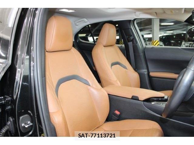 Lexus UX 2018-11 1228589-24