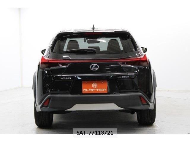 Lexus UX 2018-11 1228589-5