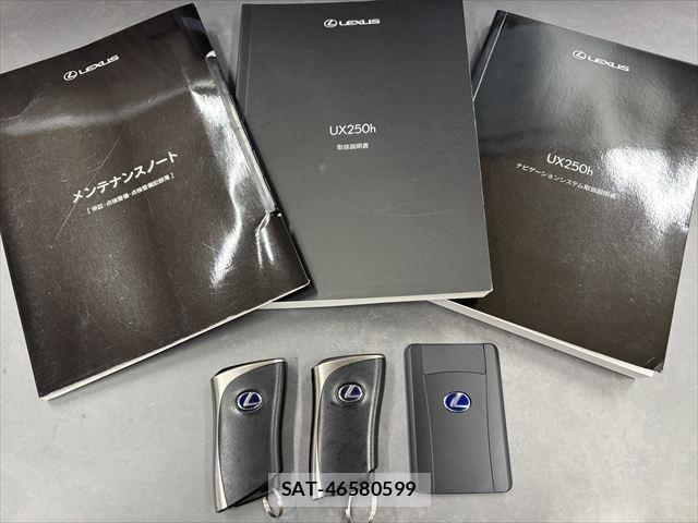 Lexus UX 2020-09 1228593-11