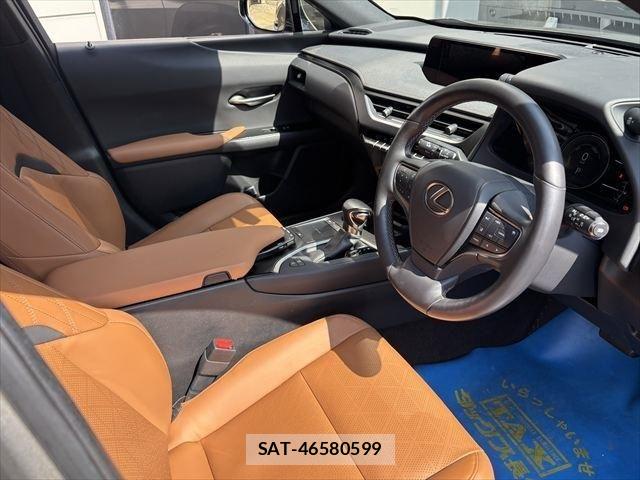 Lexus UX 2020-09 1228593-13