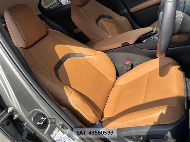 Lexus UX 2020-09 1228593-14