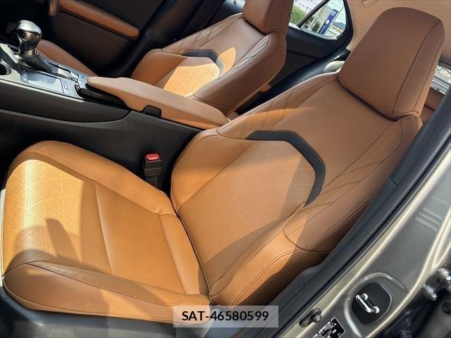 Lexus UX 2020-09 1228593-16