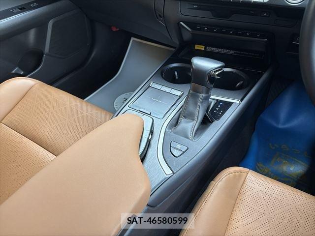 Lexus UX 2020-09 1228593-25