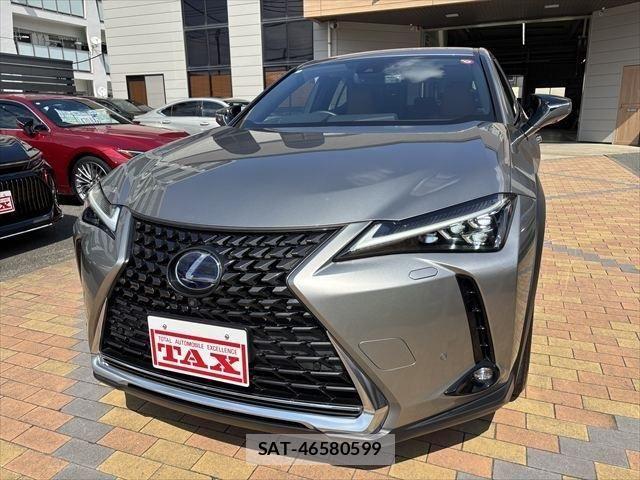 Lexus UX 2020-09 1228593-8