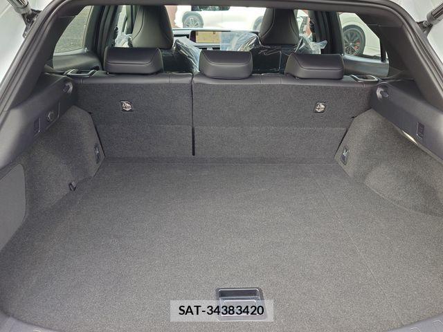 Lexus UX 2019-02 1391766-22