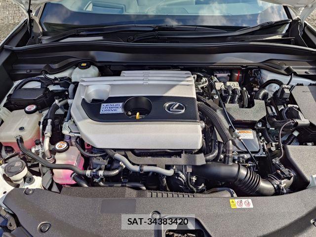 Lexus UX 2019-02 1391766-23