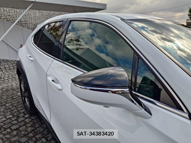 Lexus UX 2019-02 1391766-4