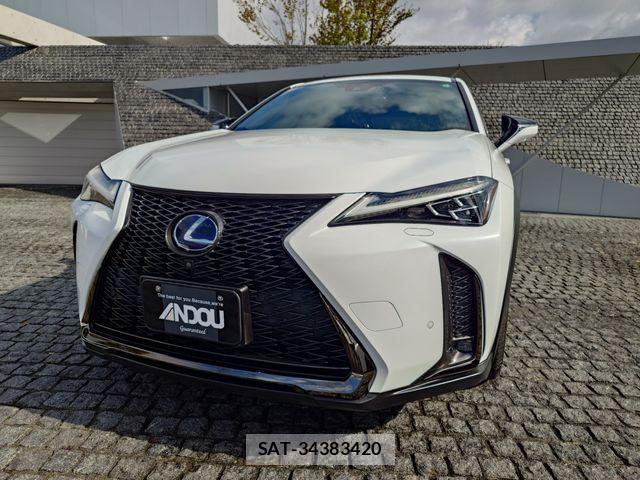 Lexus UX 2019-02 1391766-5