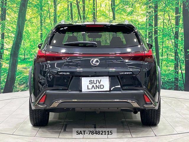 Lexus UX 2020-01 2099965-14